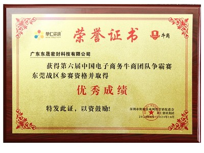 優秀成績證書-東晟唇形密封圈